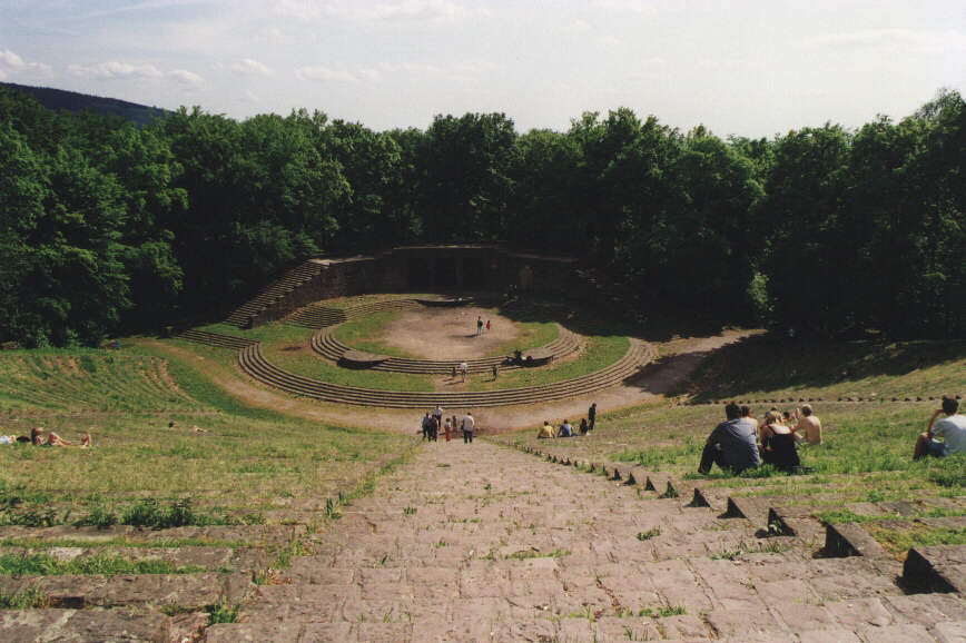 Waldb&uumlhne oben auf dem Berg